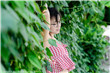 九一app免费下载安装