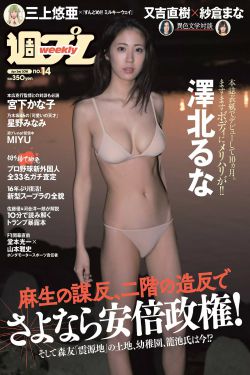 迎风的青春电视剧免费观看全集